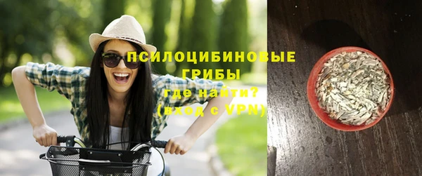 apvp Балабаново